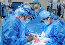 Una mujer recibió el primer trasplante combinado de riñón de cerdo y bomba cardíaca