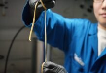 Investigadores crearon un plástico que se autodestruye al final de su vida útil