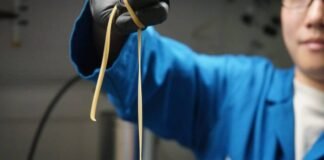 Investigadores crearon un plástico que se autodestruye al final de su vida útil