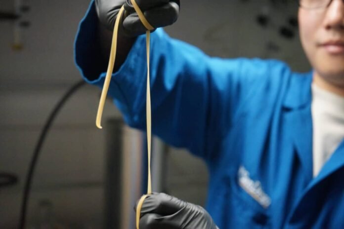 Investigadores-crearon-plastico-autodestruye