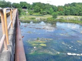Lluvias inundan zonas urbanas y agrícolas de RD; afectan decenas de acueductos y puentes
