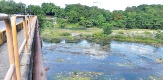 Lluvias inundan zonas urbanas y agrícolas de RD; afectan decenas de acueductos y puentes