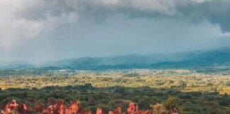 Tierras Raras en dominicana podrían ser un potencial económico por su precio