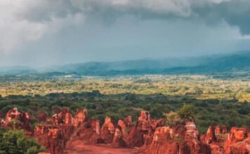 Tierras Raras en dominicana podrían ser un potencial económico por su precio