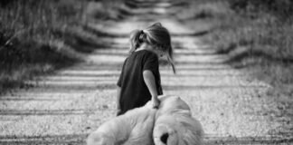 Más de 300 niños y adolescentes quedan huérfanos por feminicidios en el país