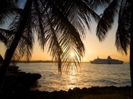 Abinader y Mejía presentan plan para modernizar Santo Domingo