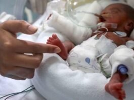 Rescatan neonato que fue abandonado en la carretera de la provincia Dajabón