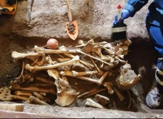 Restos humanos en plantación de cacao en El Seibo