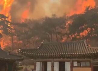 Al menos 27 muertos deja el peor incendio forestal registrado en Corea del Sur