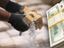 Redes criminales descentralizadas: La nueva cara del narcotráfico