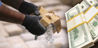 Redes criminales descentralizadas: La nueva cara del narcotráfico