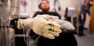 Un avance médico histórico: controlando un brazo robótico solo con la mente
