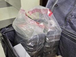 Cae italiano con cocaína en aeropuerto de RD: ¡24 paquetes ocultos!