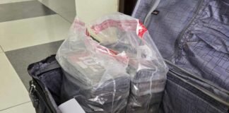 Cae italiano con cocaína en aeropuerto de RD: ¡24 paquetes ocultos!