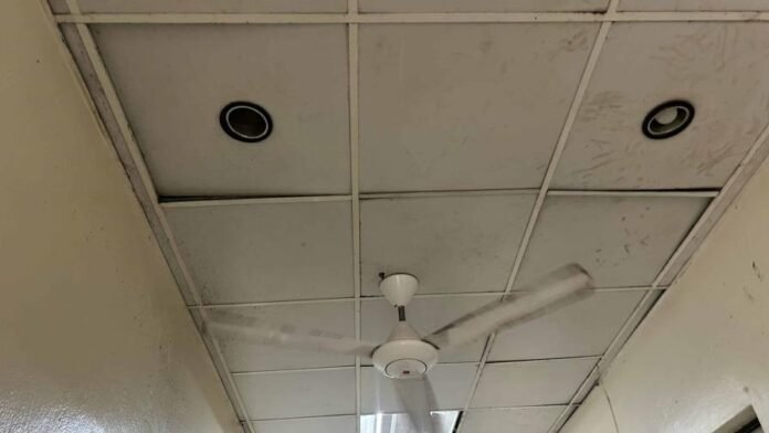 whatsapp-image-2025-03-12-at-45934-pm-097206ea-focus-0.18-0.12-896-504