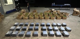 Arrestan a deportado vinculado a red de narcotráfico en Monte Cristi