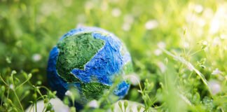 Día de la Tierra – 22 de abril
