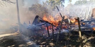 Saltos de La Tinaja: La reserva más amenazada de Santiago