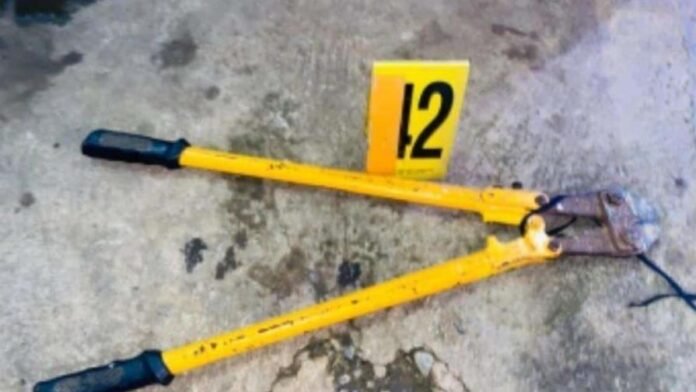 whatsapp-image-2025-04-30-at-121247-pm-1-f60865ec-focus-0-0-896-504