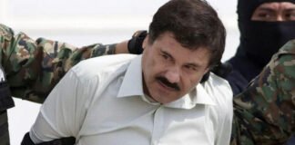 Un grupo de 17 familiares de «El Chapo» Guzmán se entregó a las autoridades estadounidenses