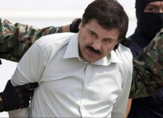 Un grupo de 17 familiares de «El Chapo» Guzmán se entregó a las autoridades estadounidenses