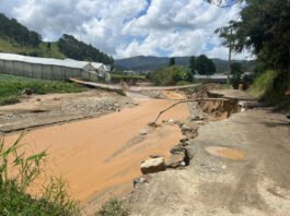 Lluvias causan estragos en predios de Tireo y Constanza