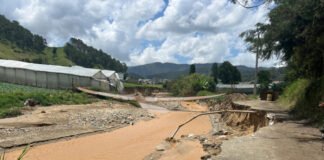 Lluvias causan estragos en predios de Tireo y Constanza