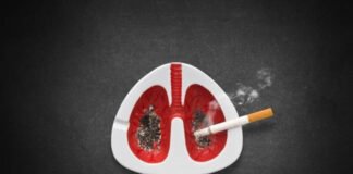 El tabaquismo sigue siendo la mayor amenaza para la salud, liderando el ranking de muertes evitables