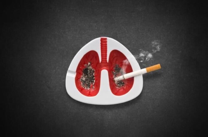 WhatsApp Image 2025-05-30 at 2.31.45 PM