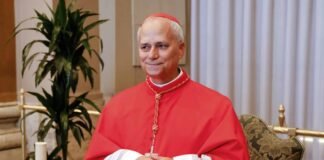 Estos son los cardenales de EE. UU. que votarán por el próximo papa