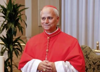 Estos son los cardenales de EE. UU. que votarán por el próximo papa