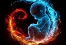 ¿En realidad es beneficioso comerse la placenta?