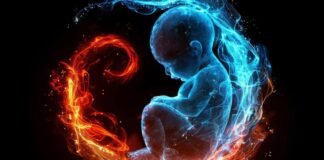 ¿En realidad es beneficioso comerse la placenta?