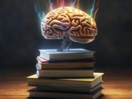 Un estudio descubre una nueva forma de aprendizaje del cerebro basada en el ensayo y error