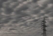 Científicos encuentran peligrosos hongos vivos flotando en la estratósfera