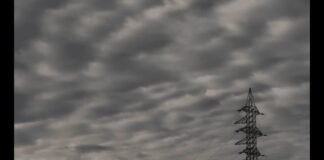 Científicos encuentran peligrosos hongos vivos flotando en la estratósfera