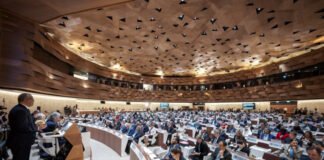 OMS declara enfermedades raras como prioridad de salud pública en Asamblea Mundial de la Salud