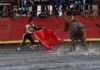 Inician los preparativos para las corridas de toros en El Seibo