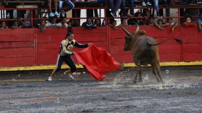 wasacs-c20f808d-0d6b-4b88-9070-c9e207add05f-b04edb14-focus-0-0-896-504