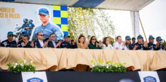 Así funcionará el nuevo servicio policial en Santiago