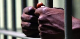 Arrestan a miembros banda haitiana que buscaban drones en RD para atacar en Haití