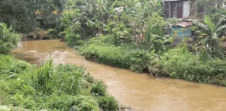 Pesticidas y materia fecal contaminan el río Banilejo en Ocoa