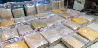 En Peravia: Interceptan camión de vegetales con 243 libras de presumible marihuana