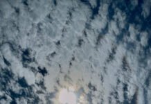 Halo solar: El espectáculo natural que encantó a muchos dominicanos