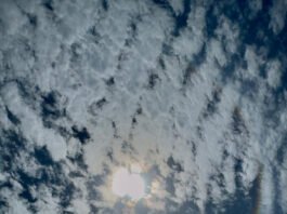 Halo solar: El espectáculo natural que encantó a muchos dominicanos