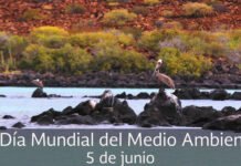 5 de junio, Día Mundial del Medio Ambiente