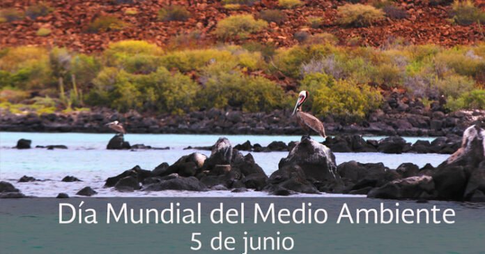 Dia_mundial_GOBMX__002_