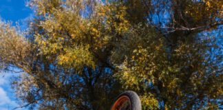 Prisión para motorista que «calibraba» en San Cristóbal